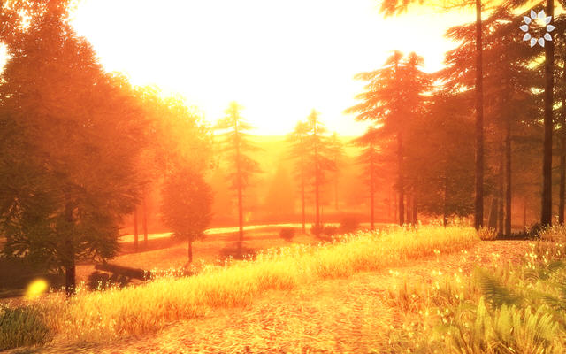 Ȼ:ɫʵػӲ̰